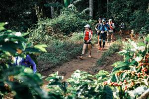 BIB: 
                            <button type="button" onclick="openModal(25853198)" class="btn btn-primary btn-sm float-right btn-popup" data-toggle="modal" data-target=".modal-high-quality">
                        <i class="fas fa-shopping-cart"></i> Add to Cart
                    </button>
                                            <button type="button" onclick="isThisMe(25853198, true)" class="btn btn-success btn-sm float-right btn-popup btn-isme hidden" data-toggle="tooltip" data-placement="bottom" title="นี่คือรูปของคุณใช่ไหม คลิกที่นี่เพื่อเอาเข้าอัลบั้ม">
                        <i class="fas fa-plus"></i> Add to album
                    </button>
                    <button type="button" onclick="isThisMe(25853198, false)" class="btn btn-warning btn-sm float-right btn-popup btn-isnotme hidden">
                        <i class="fas fa-ban"></i> Remove from album
                    </button>